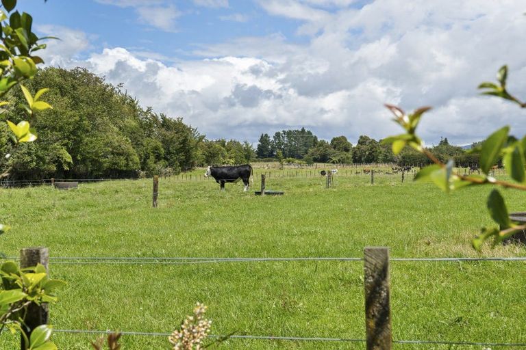 Photo of property in 49 Lepper Road, Inglewood, 4386