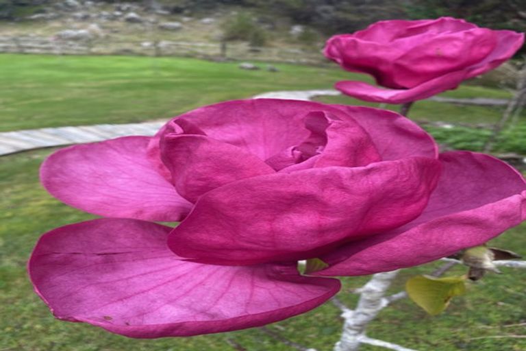 Photo of property in 35 Davis Strongman Place, Kerikeri, 0293