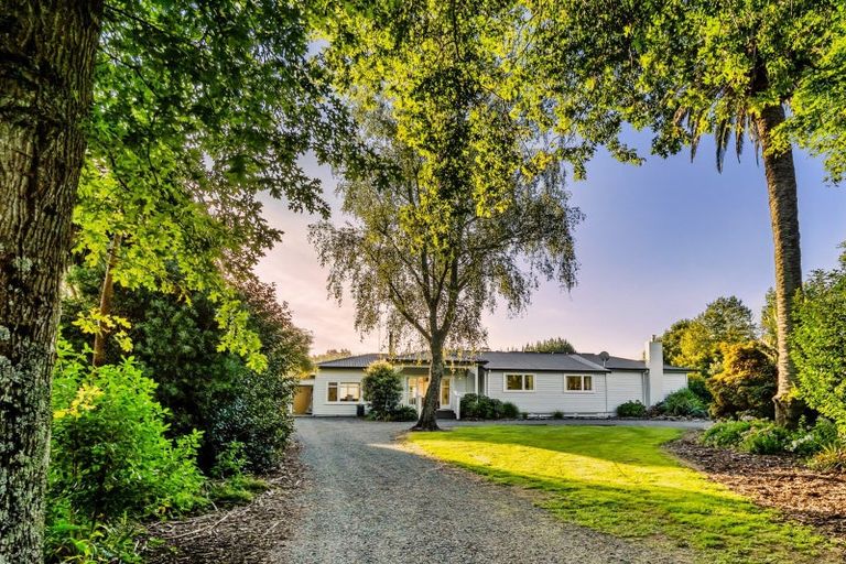 Photo of property in 82 Upland Road, Aongatete, Katikati, 3181