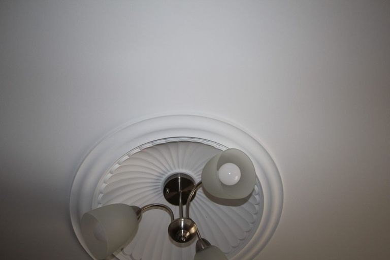 Photo of property in 53 Rongopai Street, Palmerston North, 4414