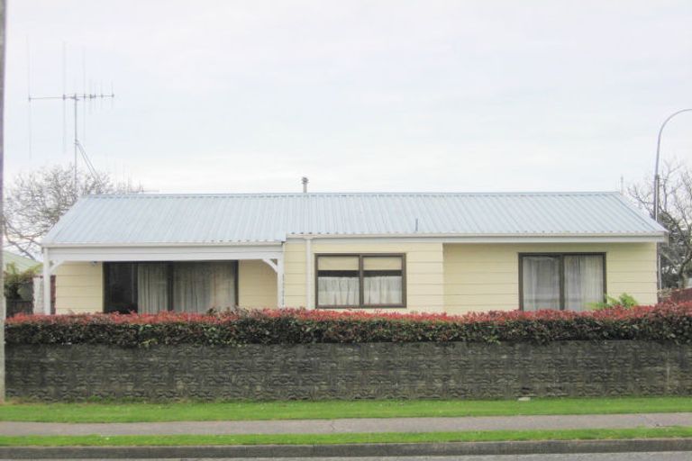 Photo of property in 93 Parker Avenue, Levin, 5510