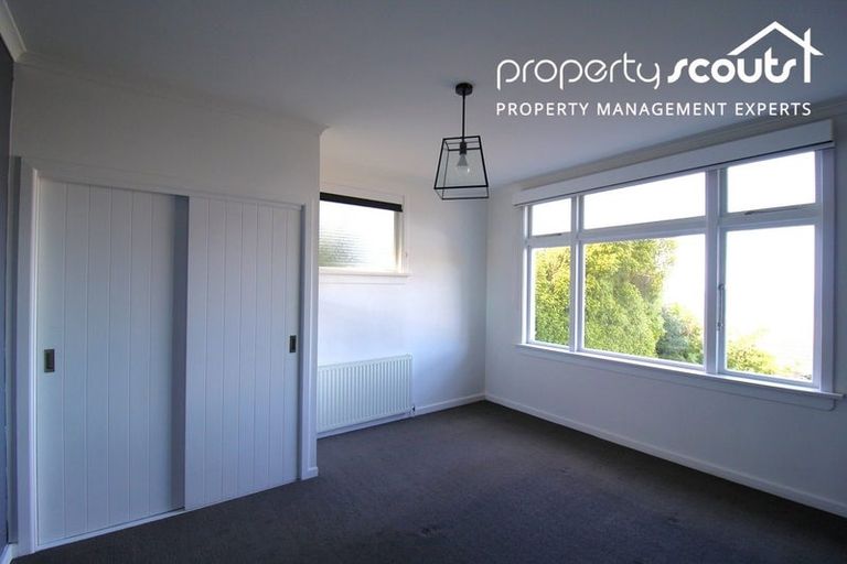 Photo of property in 14 Coney Hill Road, Saint Clair, Dunedin, 9012