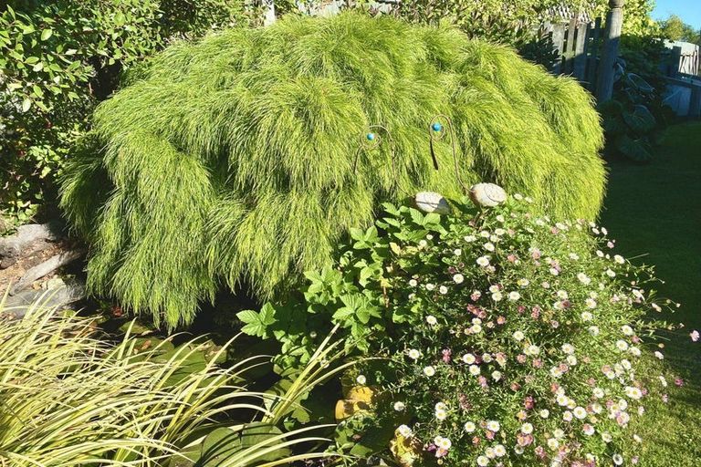 Photo of property in 102 Pacific Drive, Southbridge, Leeston, 7683