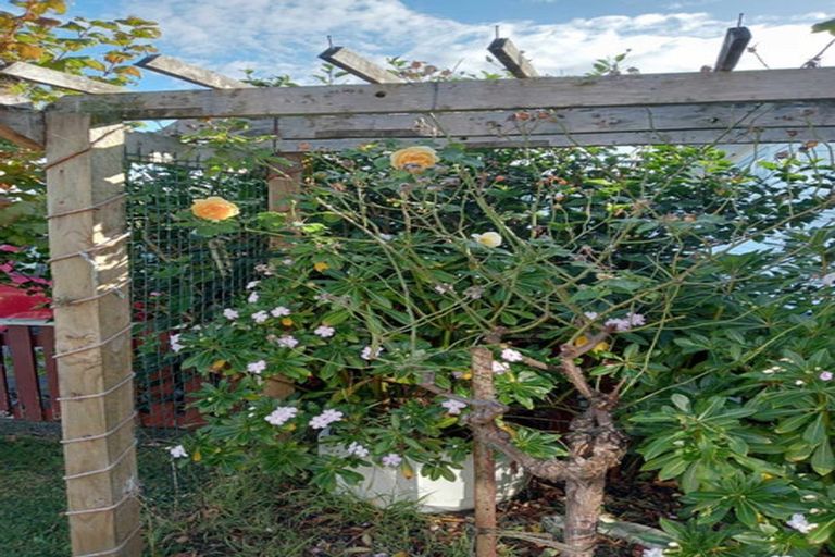 Photo of property in 19 Balmoral Street, Levin, 5510