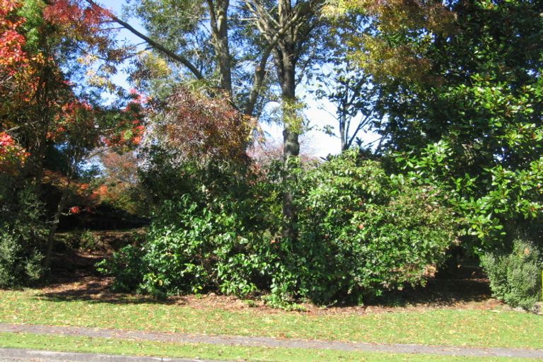 Photo of property in 35 Tasman Drive, Tokoroa, 3420