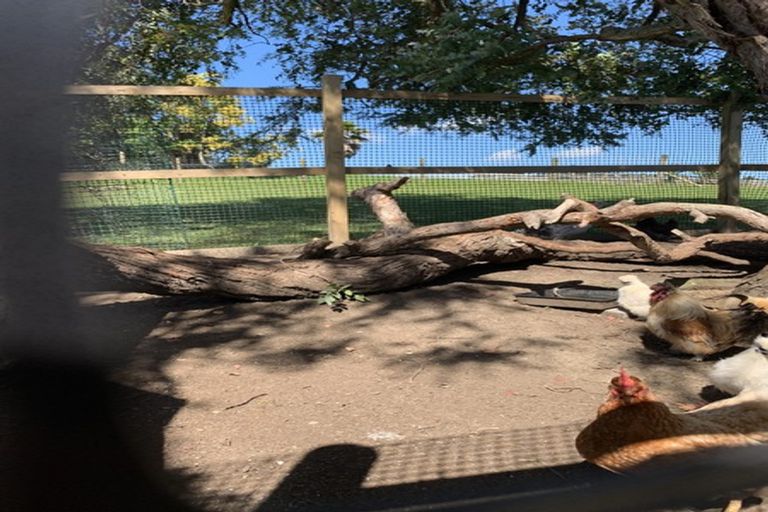 Photo of property in 83 Whitford Park Road, Whitford, Manurewa, 2576