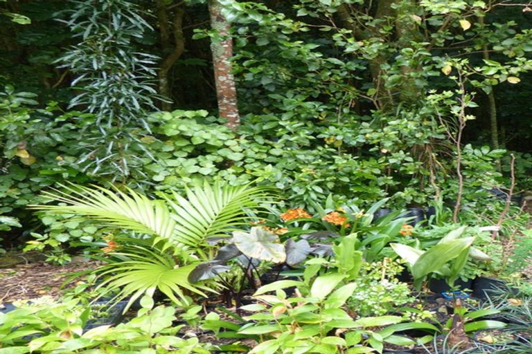 Photo of property in 19 Kakariki Grove, Waikanae, 5036