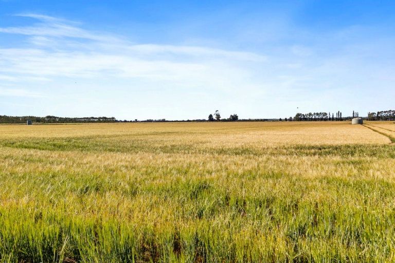 Photo of property in 215 Falvey Road, Levels, Timaru, 7975