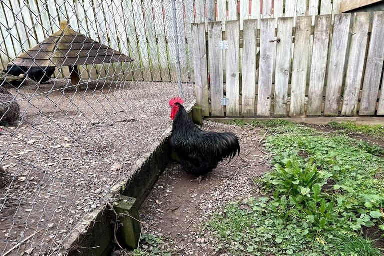 Photo of property in 22 Churchill Crescent, Shannon, 4821