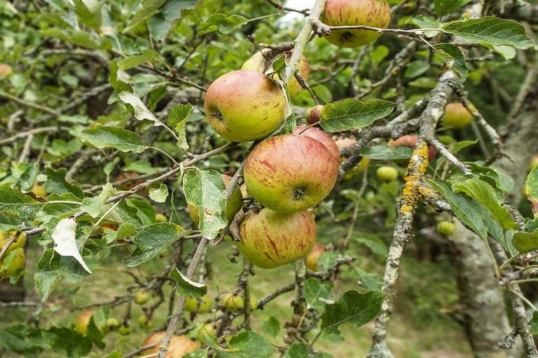 Photo of property in 1737 Hoskyns Road, Kirwee, Darfield, 7571