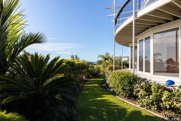Photo of property in 50 Whiteley Street, Moturoa, New Plymouth, 4310