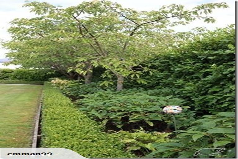 Photo of property in 3 Highgrove Place, Waipukurau, 4200