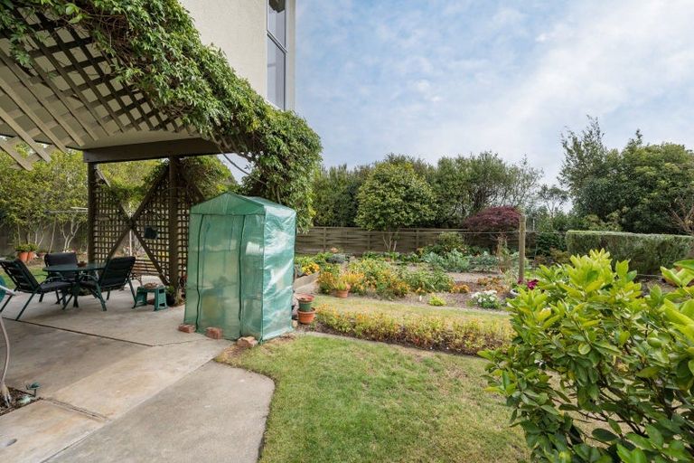 Photo of property in 22 Hebberd Place, Richmond, 7020