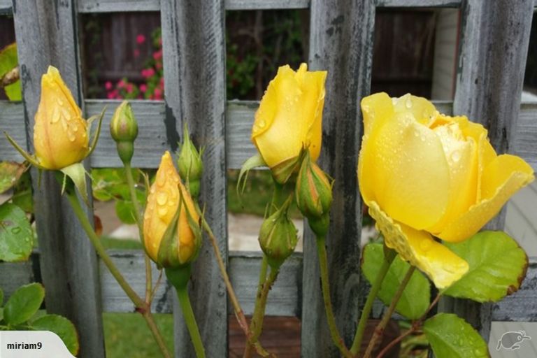 Photo of property in 50 Rocking Horse Road, Southshore, Christchurch, 8062