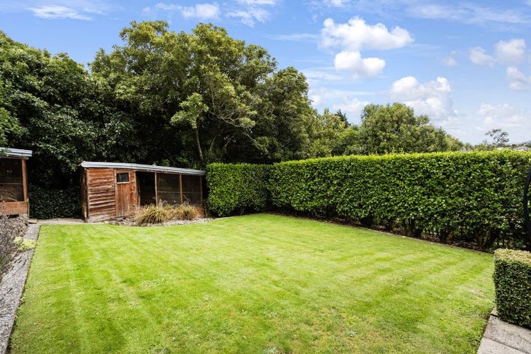 Photo of property in 50 Every Street, Andersons Bay, Dunedin, 9013