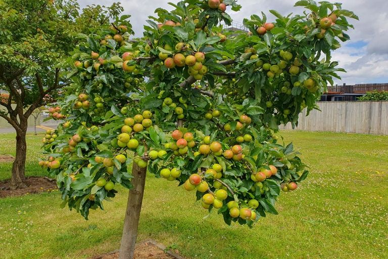 Photo of property in 20 Fire Station Lane, Trentham, Upper Hutt, 5018