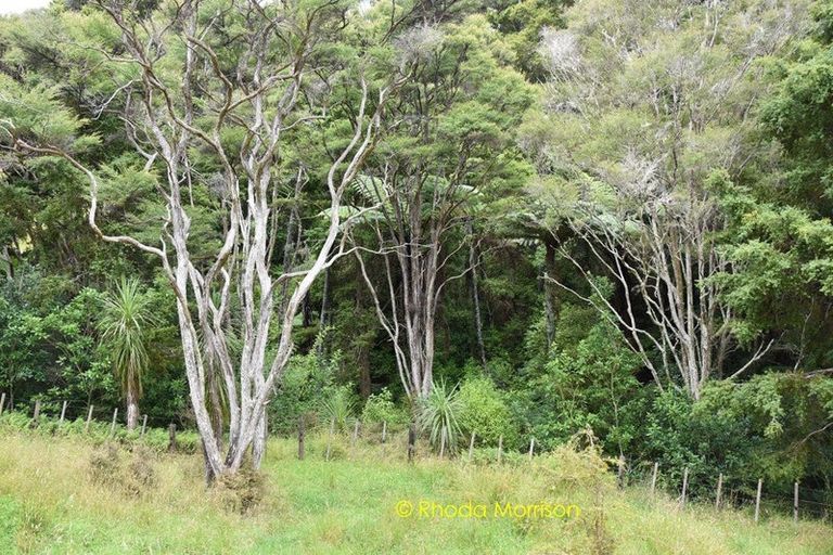 Photo of property in 318 Franklin Road, Paparoa, 0571