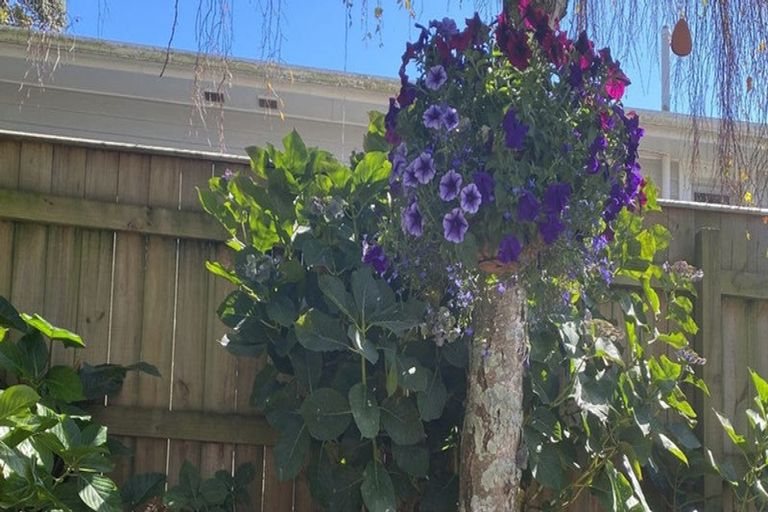 Photo of property in 100 Centennial Avenue, Waitara, 4320