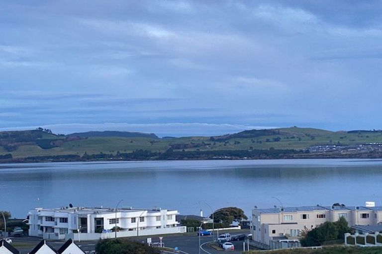 Photo of property in 14 Hinerau Grove, Waipahihi, Taupo, 3330