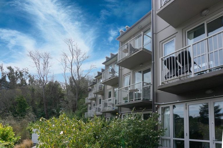 Photo of property in 73 Buccleugh Street, North East Valley, Dunedin, 9010