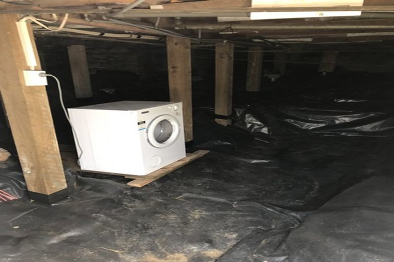 Photo of property in 6 Haig Street, Mornington, Dunedin, 9011