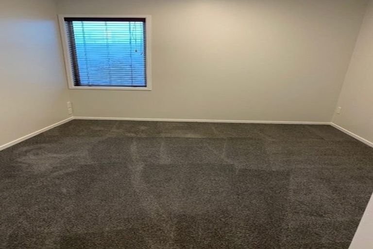 Photo of property in 22e Hunter Street, Hamilton Lake, Hamilton, 3204