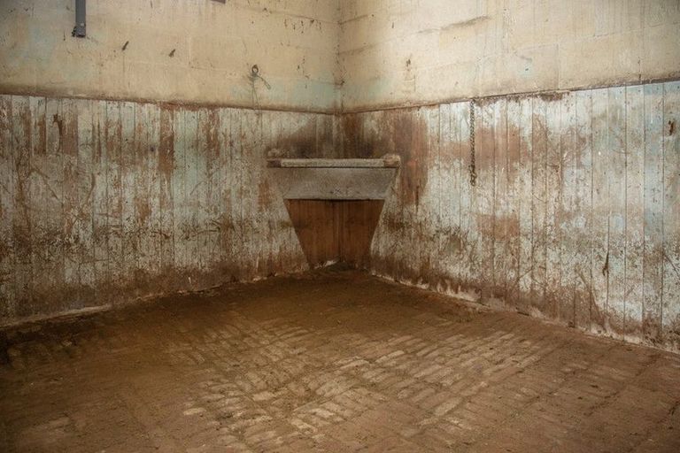 Photo of property in 238 Pukeuri-oamaru Road, Pukeuri, Oamaru, 9493