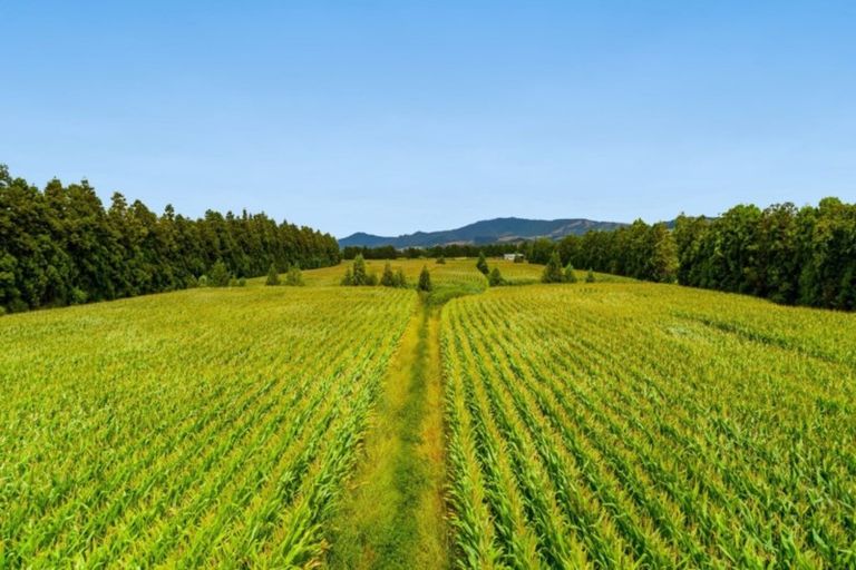 Photo of property in 76 Bell Road, Papamoa, 3187