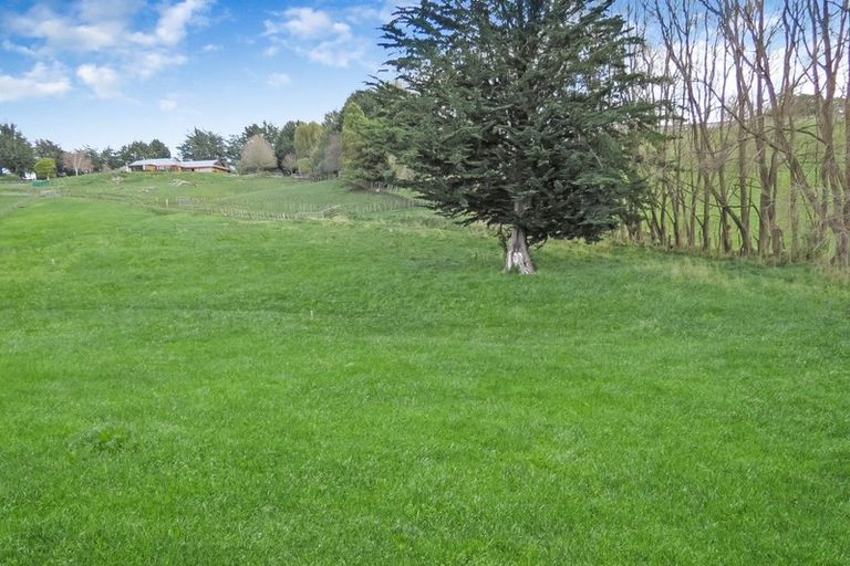Photo of property in 17c Teal Avenue, Feilding, 4775