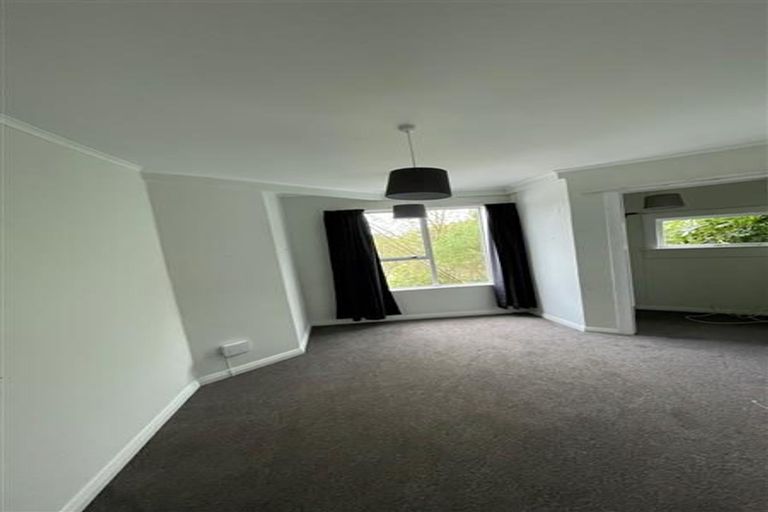 Photo of property in 37 Plunket Street, Kelburn, Wellington, 6012