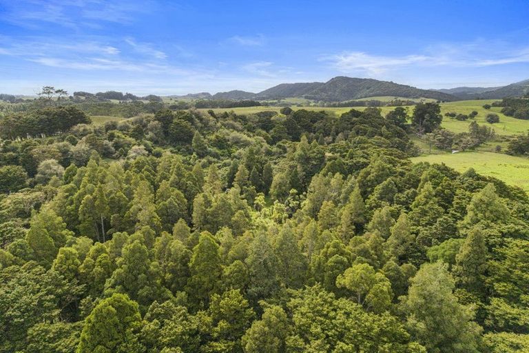 Photo of property in 559 Old Kaipara Road, Kaipara Flats, Warkworth, 0981