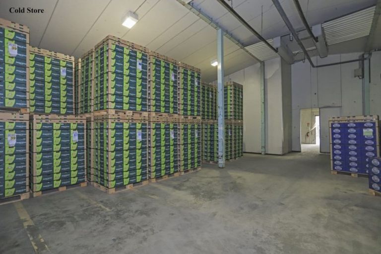 Photo of property in 11 Trig Road, Waihi, 3681