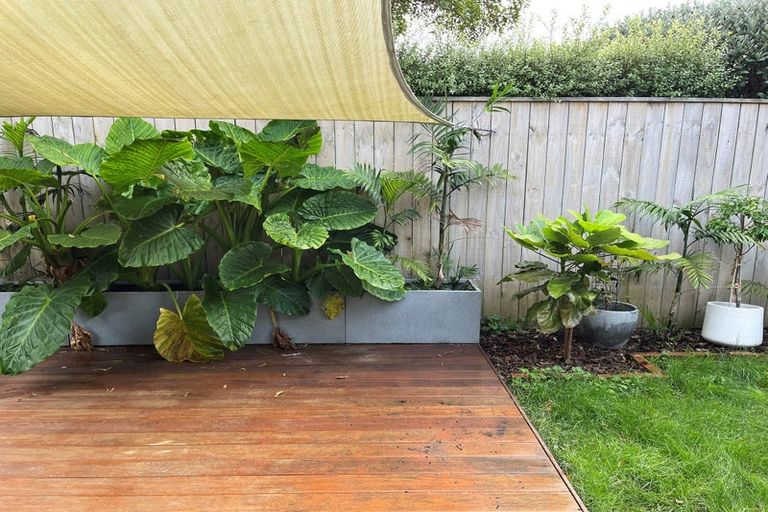 Photo of property in 22 Konini Street, Eastbourne, Lower Hutt, 5013