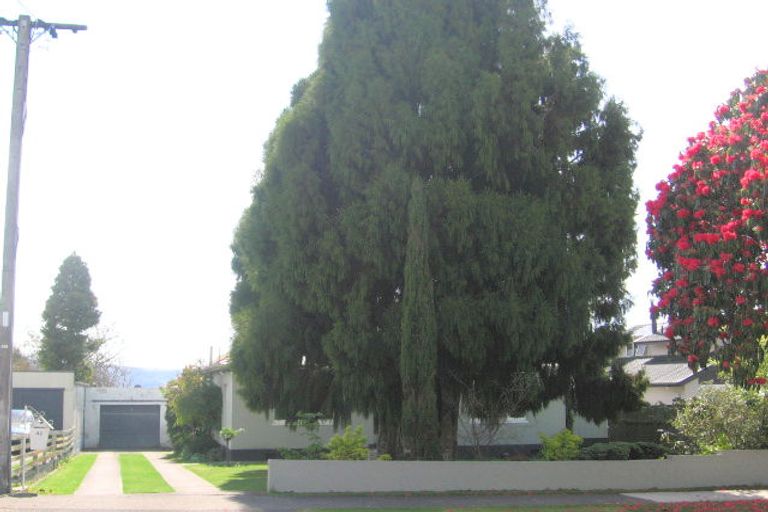 Photo of property in 42 Lynmore Avenue, Lynmore, Rotorua, 3010