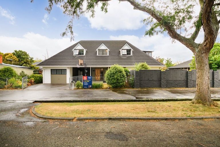 Photo of property in 8 Mcarthur Street, Terrace End, Palmerston North, 4410