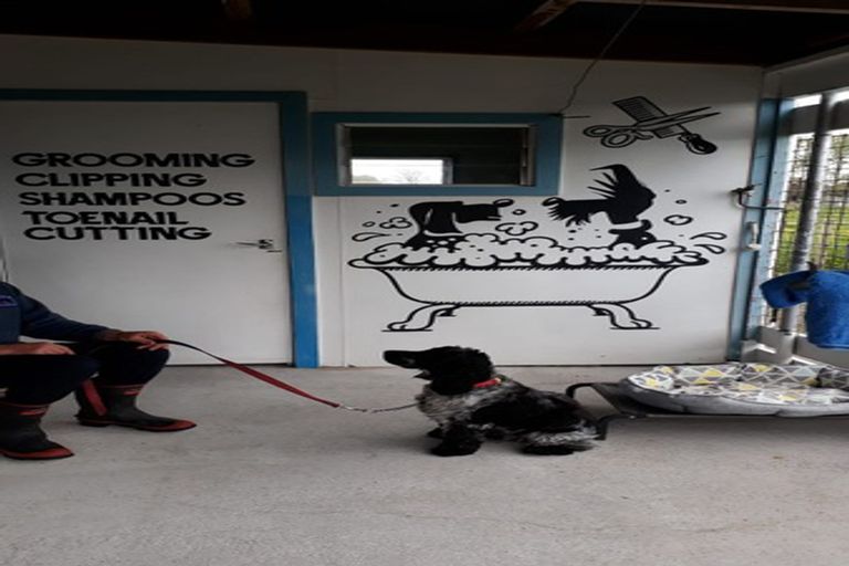 Photo of property in 349 Hauraki Road, Orongo, Thames, 3574