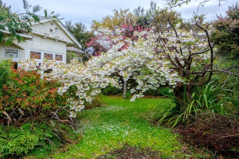 Photo of property in 45 Grendon Street, Maori Hill, Dunedin, 9010