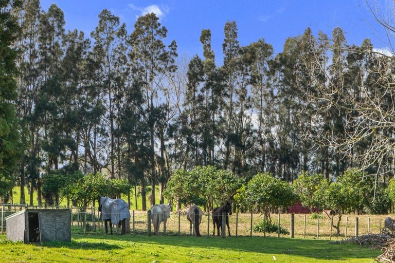 Photo of property in 440 Seagrove Road, Waiau Pa, Pukekohe, 2679