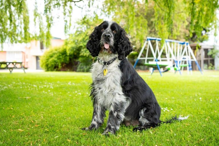 Photo of property in 1a Davis Avenue, Ranfurly, 9332