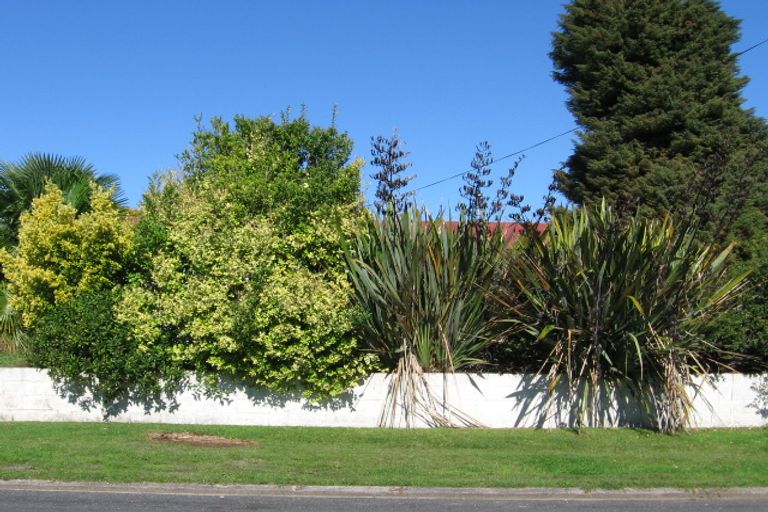 Photo of property in 28 Myrtle Grove, Putaruru, 3411