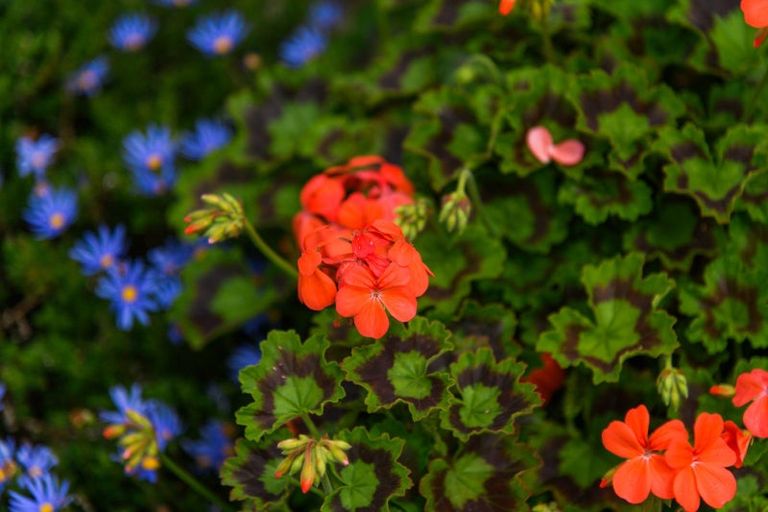 Photo of property in 12 Dewe Avenue, Feilding, 4702