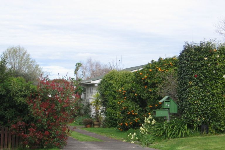 Photo of property in 26 Robins Road, Judea, Tauranga, 3110