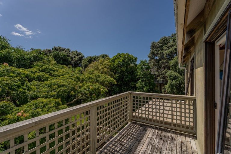 Photo of property in 863 Black Jack Road, Opito Bay, Whitianga, 3592