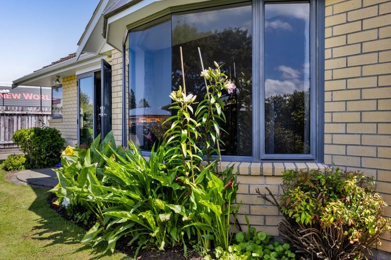 Photo of property in 33 Orlando Street, Stratford, 4332