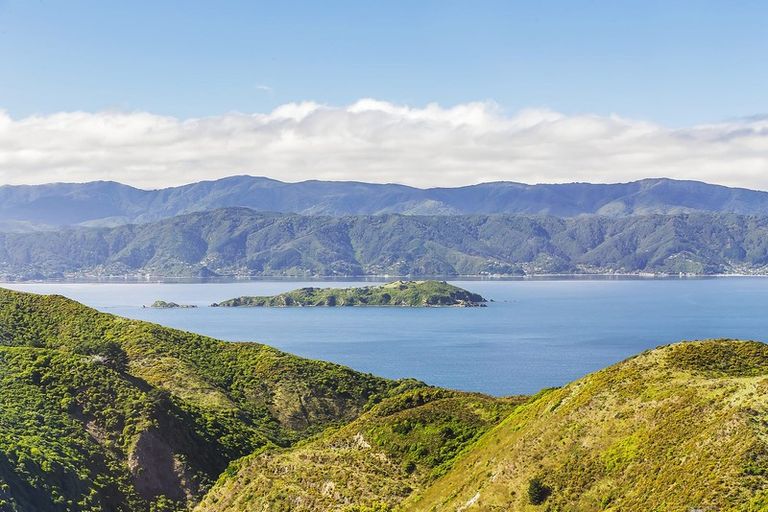 Photo of property in 6 Nagpur Terrace, Broadmeadows, Wellington, 6035