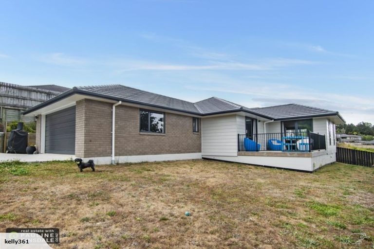 Photo of property in 39 Briden Drive, Tikipunga, Whangarei, 0112