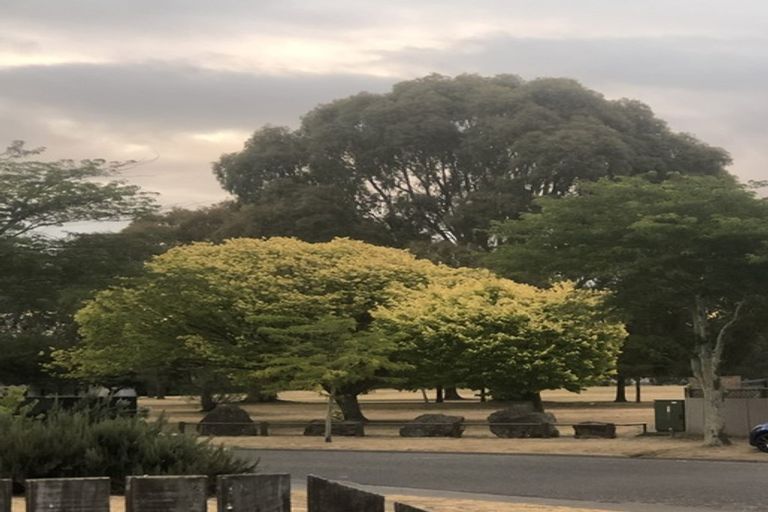 Photo of property in 31 Columbus Crescent, Flaxmere, Hastings, 4120