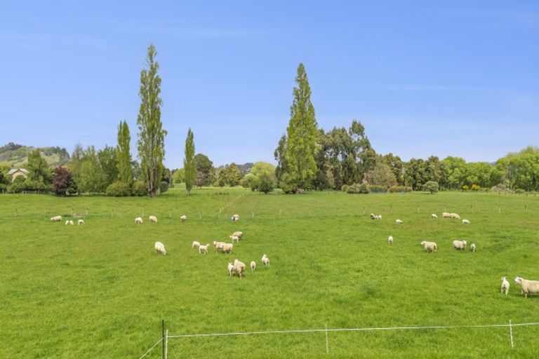 Photo of property in 19 Whiting Drive, Wakefield, 7025