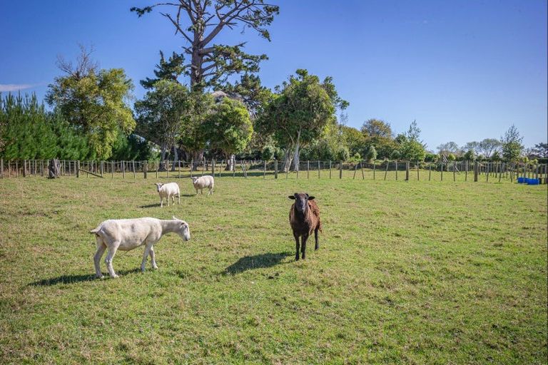 Photo of property in 49 Wakefield Road, Levin, 5571