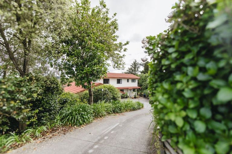 Photo of property in 8 Hemans Street, Leamington, Cambridge, 3432